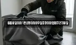 원룸용달이사1톤소형이사사무실포장이사업체꾸러기용달