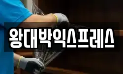 왕대박익스프레스
