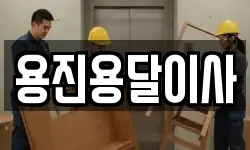 용진용달이사