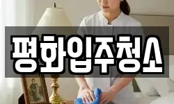 평화입주청소