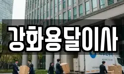 강화용달이사