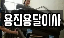 용진용달이사