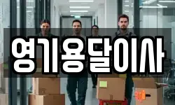영기용달이사