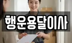 행운용달이사