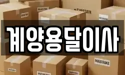 계양용달이사