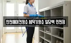 인천에어컨청소 세탁기청소 일당백 인천점