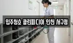 입주청소 클린피디아 인천 서구점