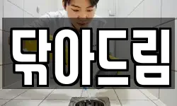 닦아드림