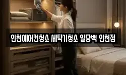 인천에어컨청소 세탁기청소 일당백 인천점