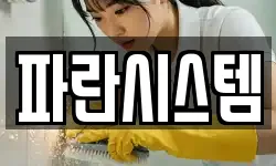 파란시스템