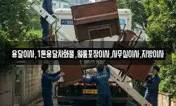 용달이사,1톤용달차화물,원룸포장이사,사무실이사,지방이사