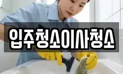 입주청소이사청소