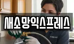 새소망익스프레스