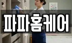 파파홈케어