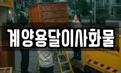 계양용달이사화물