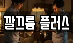 깔끄룸 플러스