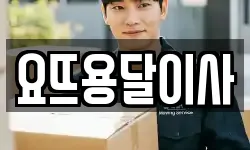 요뜨용달이사