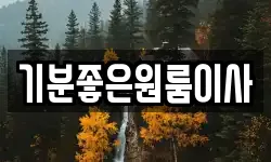 기분좋은원룸이사