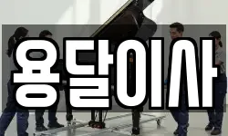 용달이사