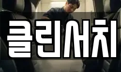 클린서치