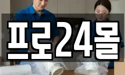 프로24몰