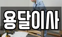 용달이사