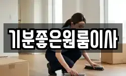 기분좋은원룸이사