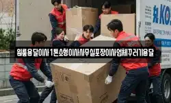 원룸용달이사1톤소형이사사무실포장이사업체꾸러기용달