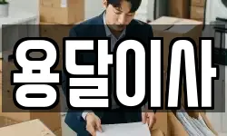 용달이사