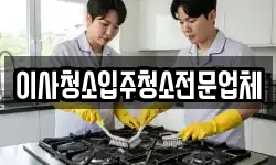 이사청소입주청소전문업체
