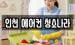 인천 에어컨 청소나라