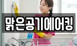 맑은공기에어킹