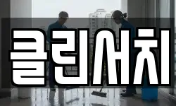 클린서치