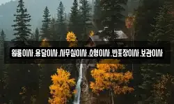 원룸이사.용달이사.사무실이사.소형이사.반포장이사.보관이사