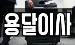 용달이사