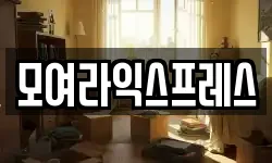 인천 동구 송현동 이사,용달이사,포장이사,원룸이사,보관이사