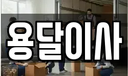 용달이사