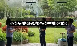 바닥청소공장청소사무실청소준공청소외벽청소상가청소