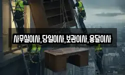 사무실이사,당일이사,보관이사,용달이사