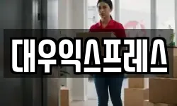 대우익스프레스