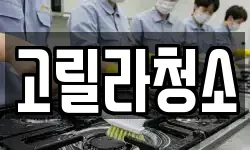 고릴라청소