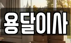 용달이사