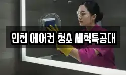 인천 에어컨 청소 세척특공대
