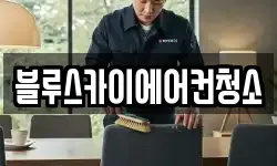 블루스카이에어컨청소