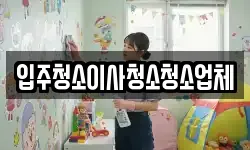입주청소이사청소청소업체