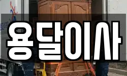 용달이사