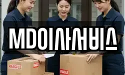 MD이사서비스
