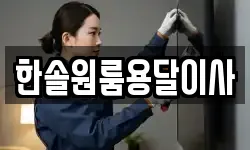 한솔원룸용달이사