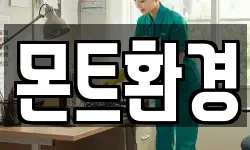 몬트환경
