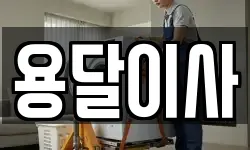용달이사